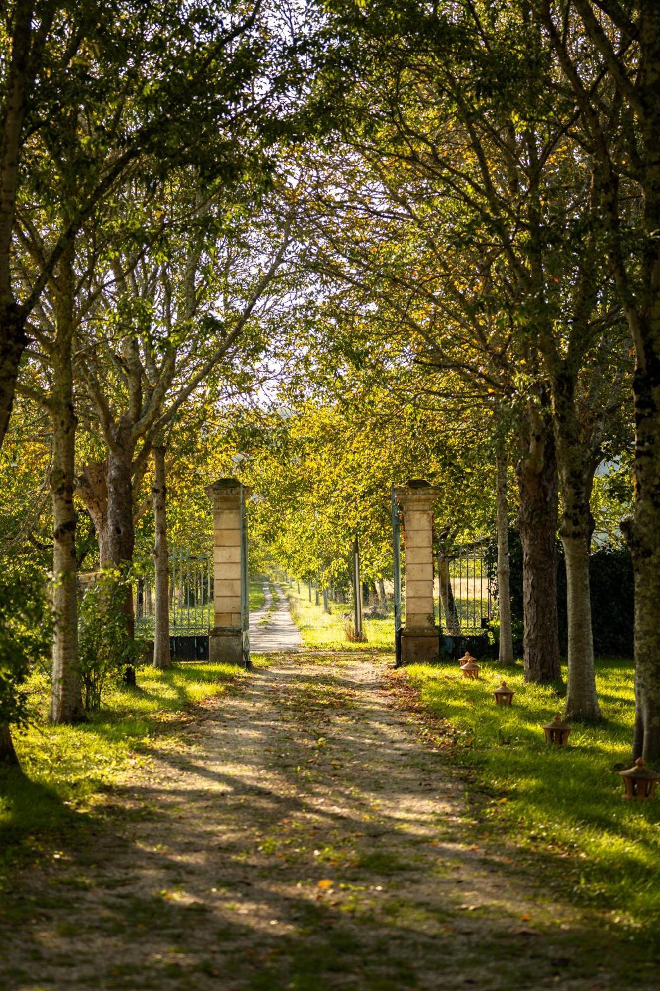 Chateau La Gineste - Castle And Vineyard Duravel Bagian luar foto