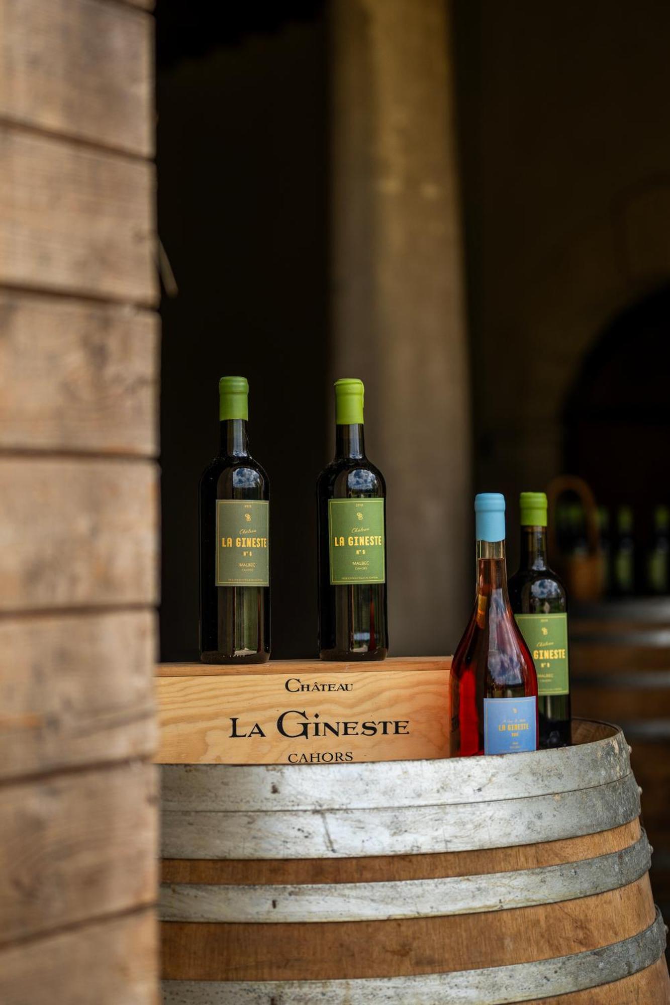 Chateau La Gineste - Castle And Vineyard Duravel Bagian luar foto